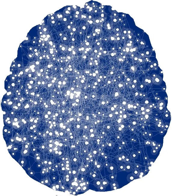 Three-dimensional brain visualization with many marked points across its surface